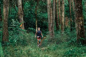 BIB: 
                            <button type="button" onclick="openModal(25237870)" class="btn btn-primary btn-sm float-right btn-popup" data-toggle="modal" data-target=".modal-high-quality">
                        <i class="fas fa-shopping-cart"></i> Add to Cart
                    </button>
                                            <button type="button" onclick="isThisMe(25237870, true)" class="btn btn-success btn-sm float-right btn-popup btn-isme hidden" data-toggle="tooltip" data-placement="bottom" title="นี่คือรูปของคุณใช่ไหม คลิกที่นี่เพื่อเอาเข้าอัลบั้ม">
                        <i class="fas fa-plus"></i> Add to album
                    </button>
                    <button type="button" onclick="isThisMe(25237870, false)" class="btn btn-warning btn-sm float-right btn-popup btn-isnotme hidden">
                        <i class="fas fa-ban"></i> Remove from album
                    </button>